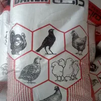 700کیلو میان دان تخم گذار بالانس درجه ۱