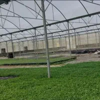 سازه گلخانه با تجهیزات کامل|عمده‌فروشی|مشهد, آیت الله کاشانی|دیوار