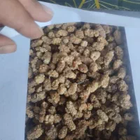 توت خشک حدود 100 کیلو|عمدهفروشی|سبزوار, ایزی شهر|دیوار