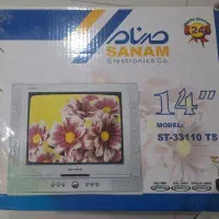 تلویزیون ۱۴ اینج صنام