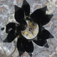 شب خواب