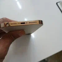 آیفون۱۲ پرومکس|موبایل|کرج, گلدشت|دیوار