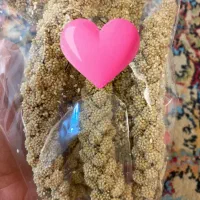 لوازم و خوراک پرنده زیر قیمت پت شاپ