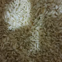 برنج عنبربو هرکیلو۲۳۰تومن