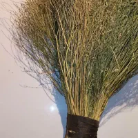 جاروی محلی|لوازم نظافت|نهاوند, |دیوار