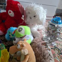 عروسک و اسباب بازی|اسباب‌‌بازی|اصفهان, اندوان|دیوار