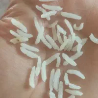 برنج کامفیروزی اصل