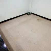 موکت دست دوم قیمت مناسب|موکت|دوگنبدان, |دیوار