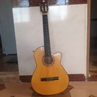گیتاردیاموند