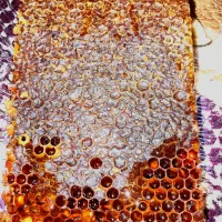 عسل طبیعی خلخال|خوردنی و آشامیدنی|رشت, فخب|دیوار