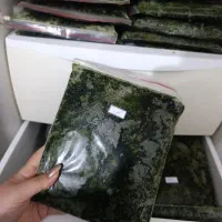 ۱۰۰ کیلو سبزی ماهی خام