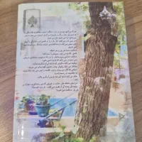 رمان حاکم قلم فرشته تات شهدوست|کتاب و مجله ادبی|اصفهان, عسگریه|دیوار
