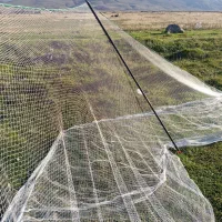 تور بزرگ معاوضه با سهره کهنه قفس جفتی نر