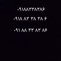 ۰۹۱۸۸۳۳۸۳۸۶