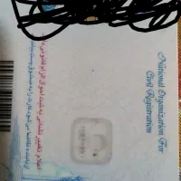 کارت ملی گم شده