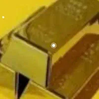 پشتیبان تلفنی وکارشناس گنجینه