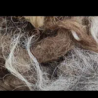 پشم تمیز و شسته شده