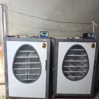 دستگاه جوجه کشی