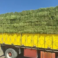 یونجه|عمده‌فروشی|مرودشت, شهرک مهدیه|دیوار