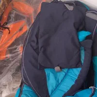 کریر|کالسکه و لوازم جانبی|بیرجند, |دیوار