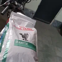 رویال کنین ۲ کیلو. اصلی وارداتی تاریخ برج ۱۱/ ۲۰۲۷|لوازم جانبی حیوانات|تهران, شهرک استقلال|دیوار