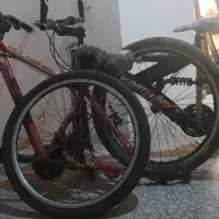 دوچرخه|دوچرخه، اسکیت، اسکوتر|بندرعباس, |دیوار