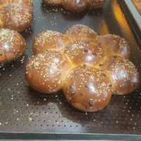 سلام به یک شاطر نان روغنی نیازمندیم