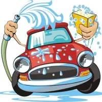 کار در کارواش