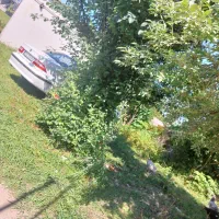 175 متر زمین همراه با 40 متر سوئیت|فروش خانه و ویلا|پره‌سر, |دیوار