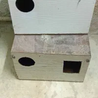 قفس وآغول|لوازم جانبی حیوانات|قوچان, |دیوار