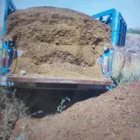 کود حیوانی گوسفند و کاوی