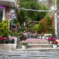 استخدام نیرو در باغ رستوران