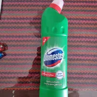 شوینده دامستوس