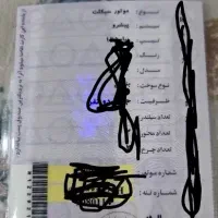 پلاک گم شده