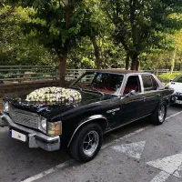 بیوک مشکی