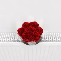 باکس گل ۷ شاخه شاین دار