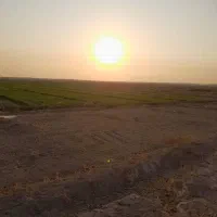فروش زمین کشاورزی توافقی
