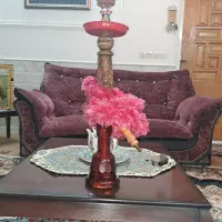 قیلون