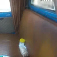 وانت نیسان دوگانه مدل ۸۵|خودرو سواری و وانت|ماهدشت, |دیوار