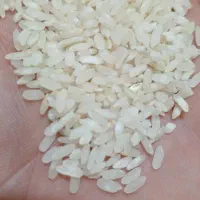 برنج کامفیروزی|خوردنی و آشامیدنی|شیراز, درکی|دیوار