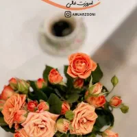 مترجم عراقی( محاوره)