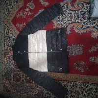 کاپشن سبز و سیاوش و کرمی|لباس|شیراز, گلشن|دیوار