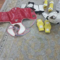 ست کامل تکواندو