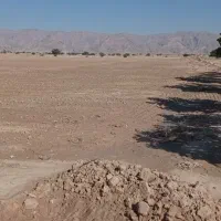 زمین کشاورزی 10 هکتاری دیم در دشت دژگاه