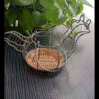 جا تخم مرغی