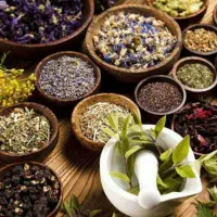 فرصت شغلی دوم برای خانم ها و آقایان