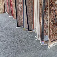 قالیشویی و مبل شویی گل افشان