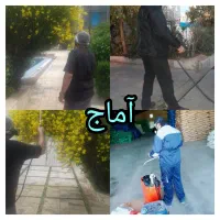 سمپاشی منازل سم پاشی تضمینی موش ساس سوسک باغچه|خدمات نظافت|اندیشه, اندیشه فاز ۱|دیوار