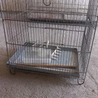 قفس پرنده خالی