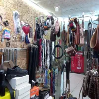 تعمیرات تخصصی کیف و کفش